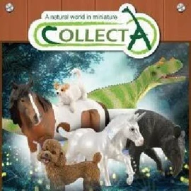 CollectA